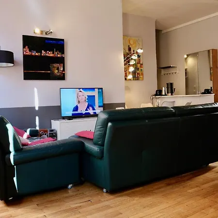 Appartement Le Loft Des Canuts *