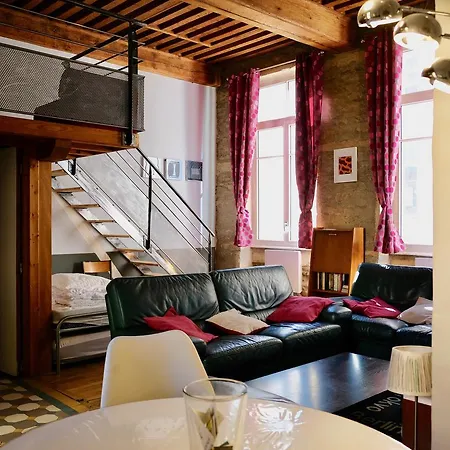 Appartement Le Loft Des Canuts