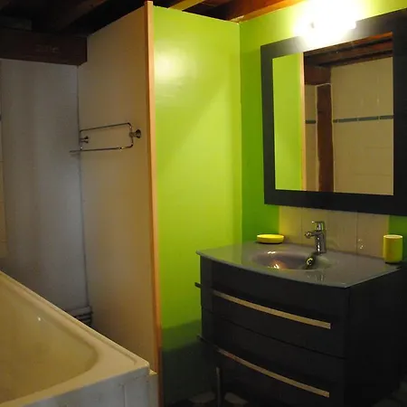 公寓 Le Loft Des Canuts
