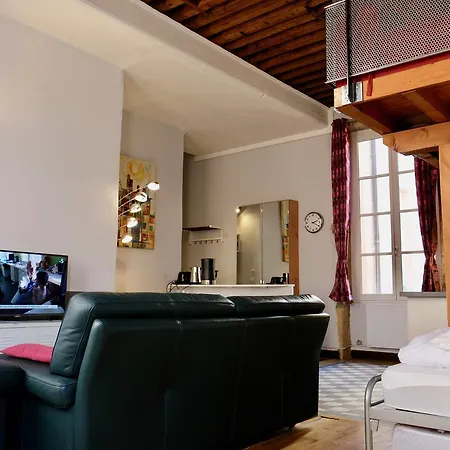Le Loft Des Canuts 公寓 里昂