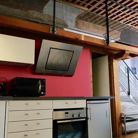 Le Loft Des Canuts 公寓 *