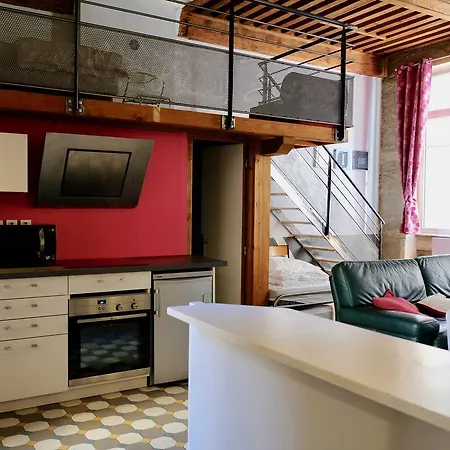 Le Loft Des Canuts 里昂