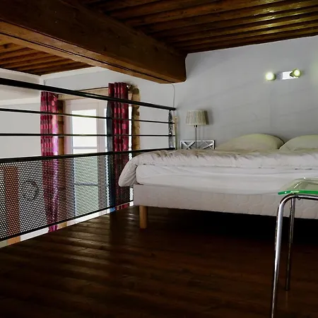 Le Loft Des Canuts 里昂